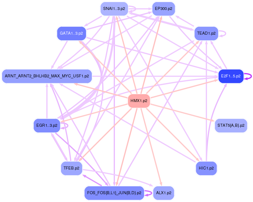 PNG image of the network