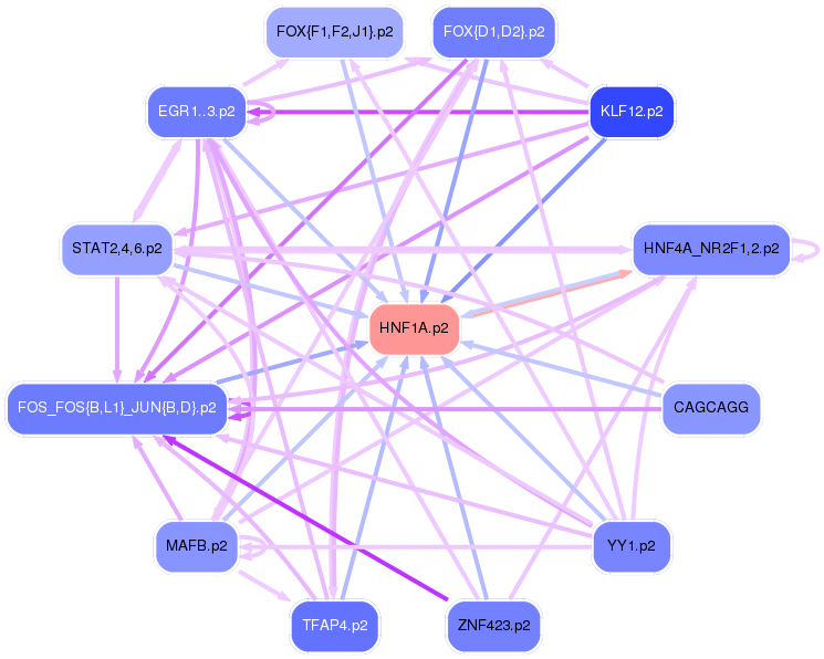 PNG image of the network