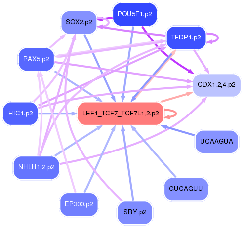 PNG image of the network