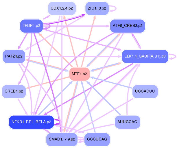 PNG image of the network