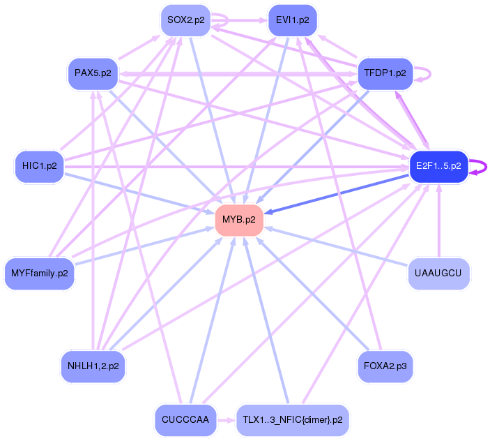 PNG image of the network