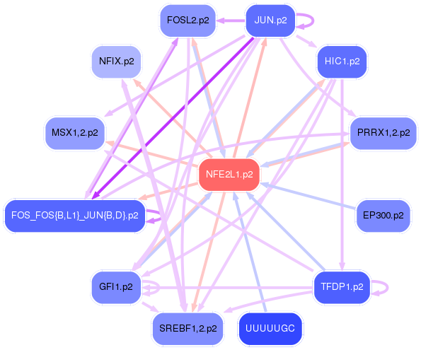 PNG image of the network