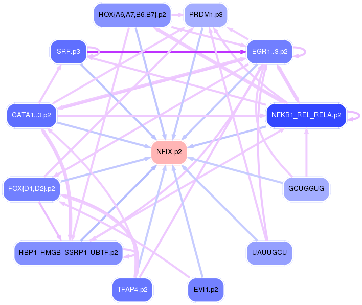 PNG image of the network