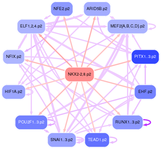 PNG image of the network