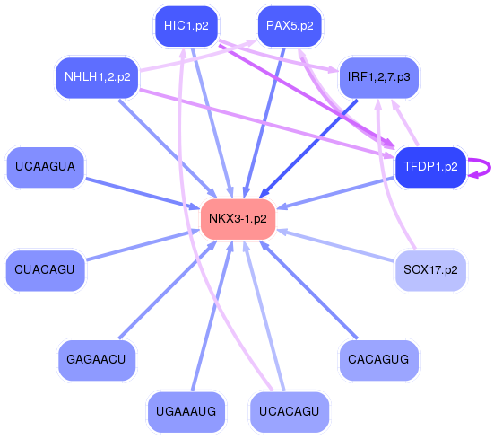 PNG image of the network
