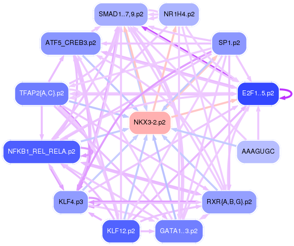 PNG image of the network