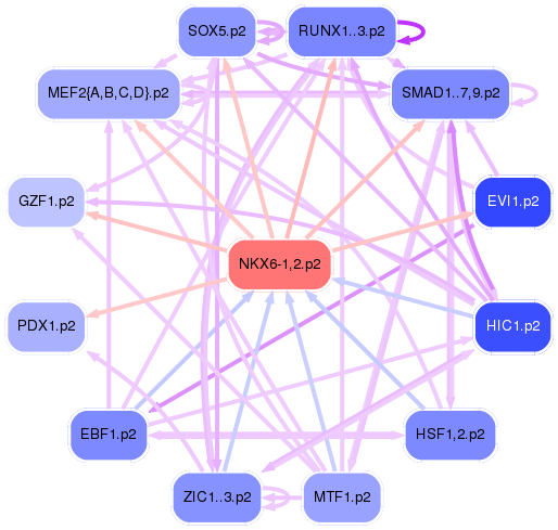 PNG image of the network