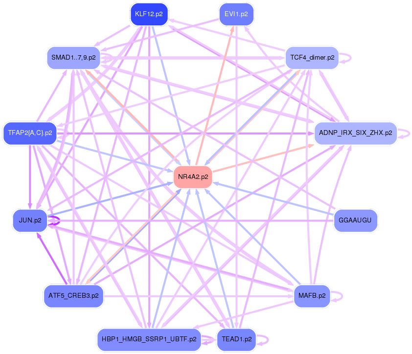 PNG image of the network