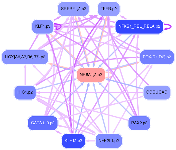 PNG image of the network