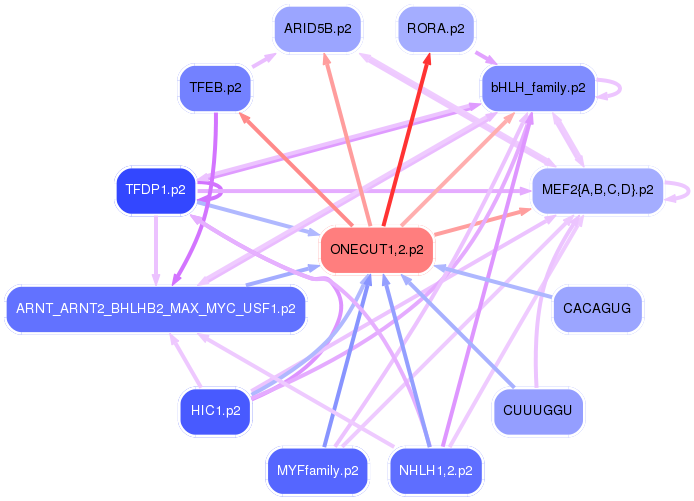 PNG image of the network