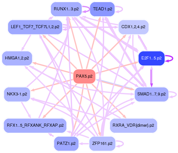 PNG image of the network
