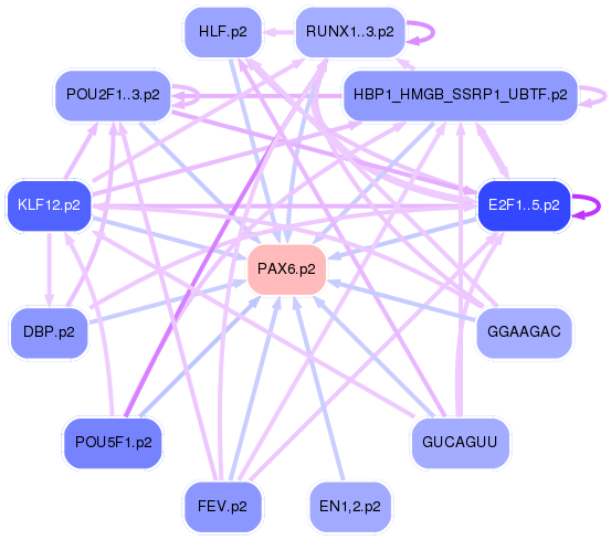 PNG image of the network