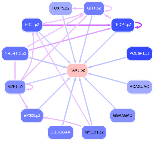 PNG image of the network