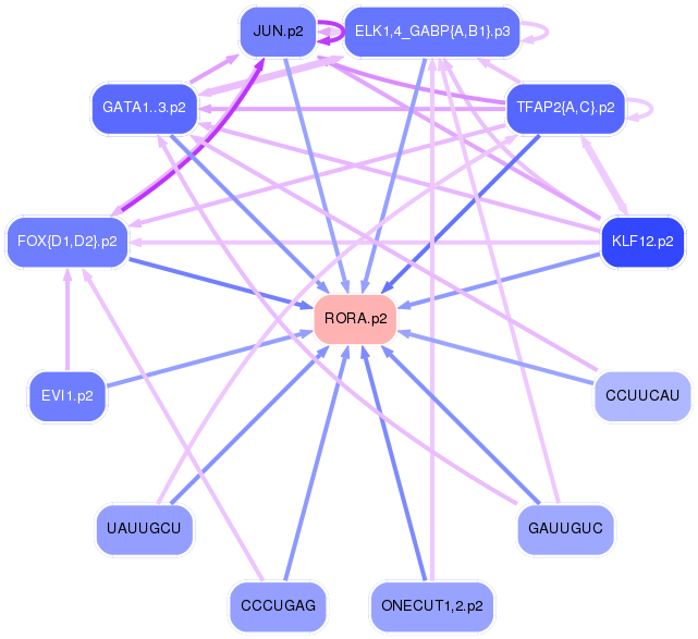 PNG image of the network