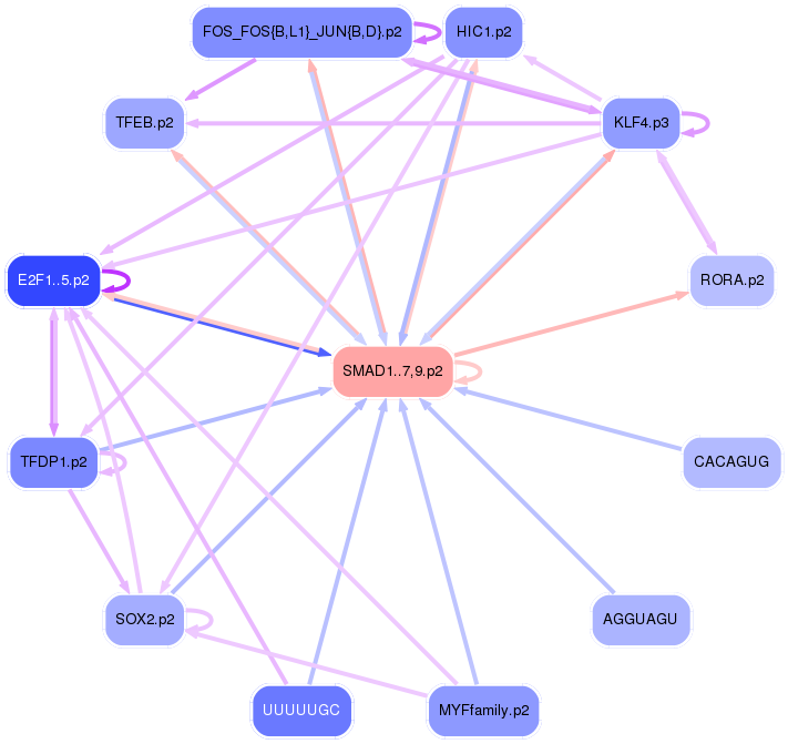 PNG image of the network