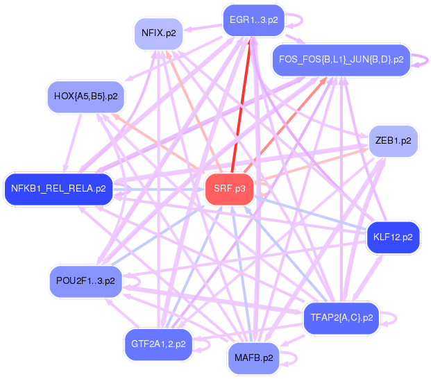PNG image of the network