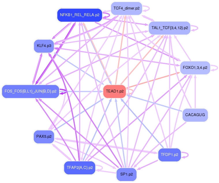 PNG image of the network