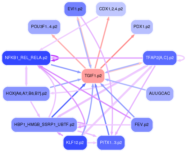 PNG image of the network