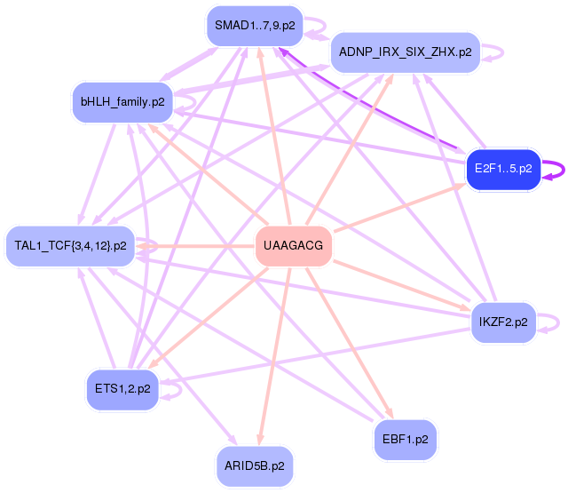 PNG image of the network