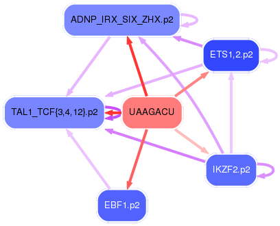 PNG image of the network