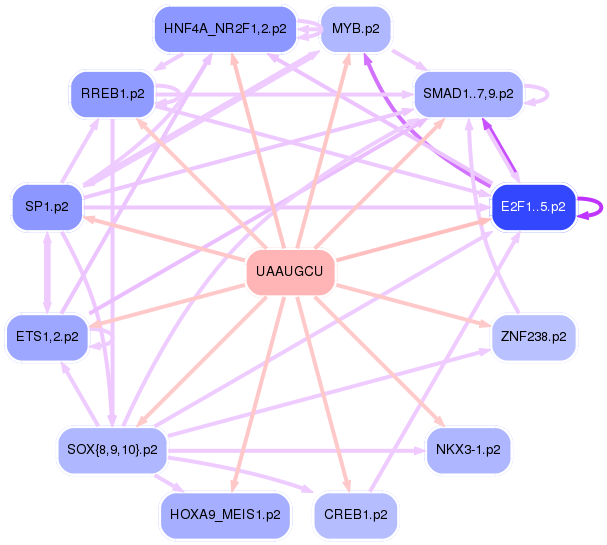PNG image of the network
