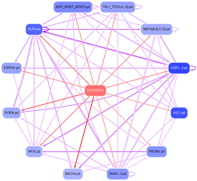 PNG image of the network
