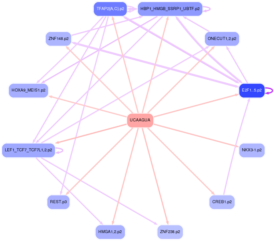 PNG image of the network