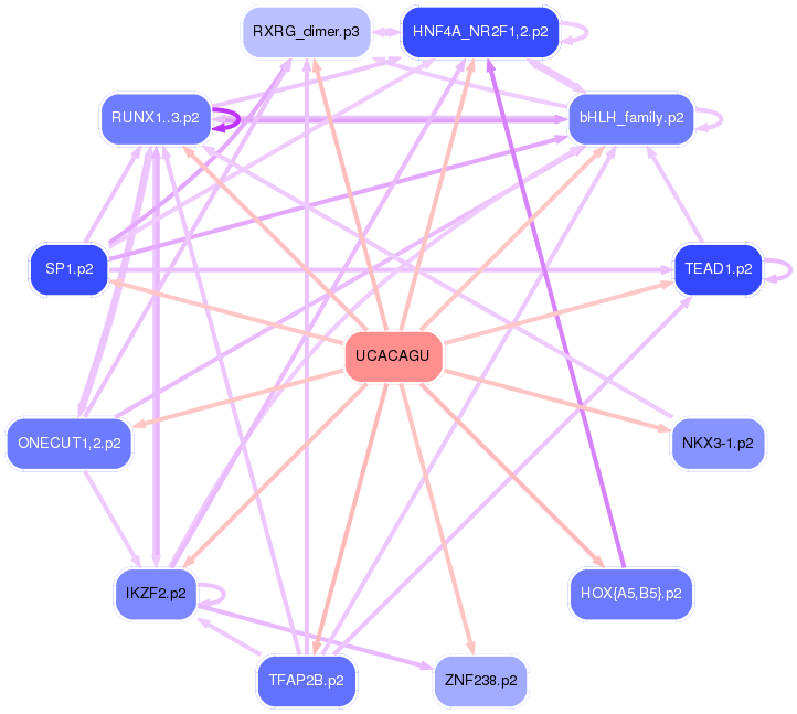 PNG image of the network