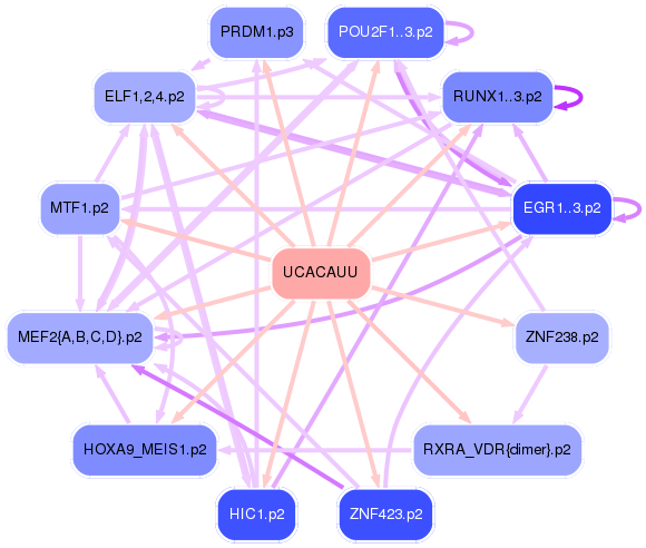 PNG image of the network
