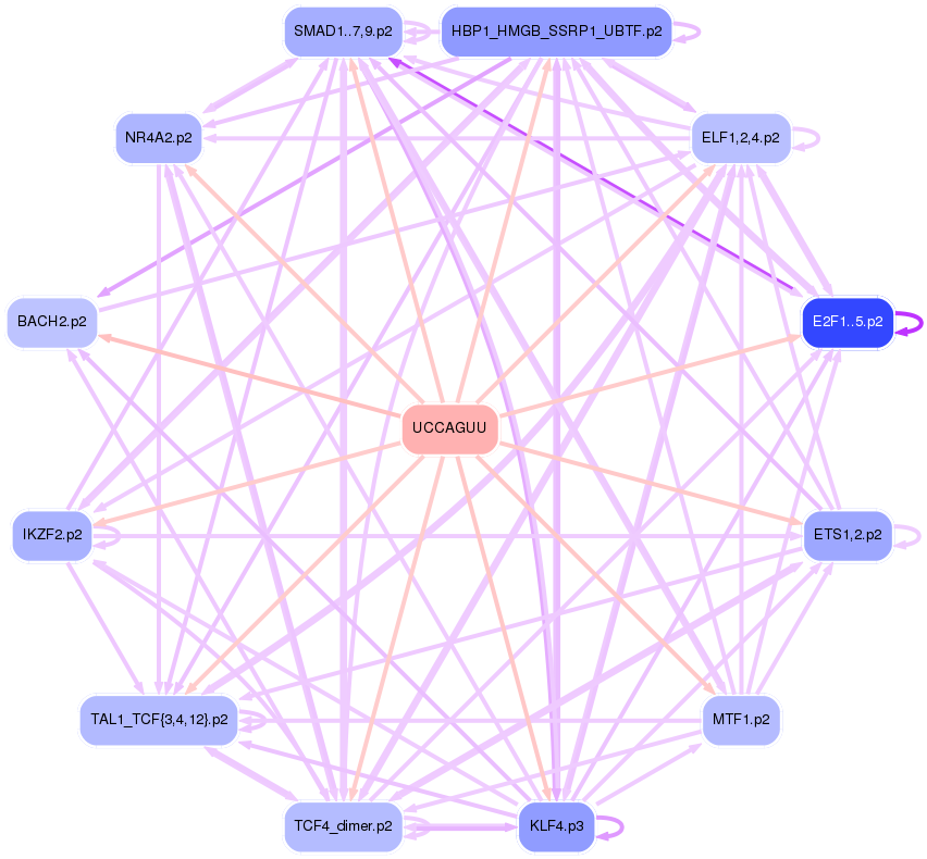 PNG image of the network