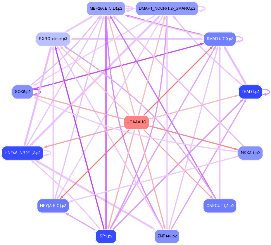 PNG image of the network