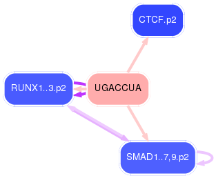 PNG image of the network