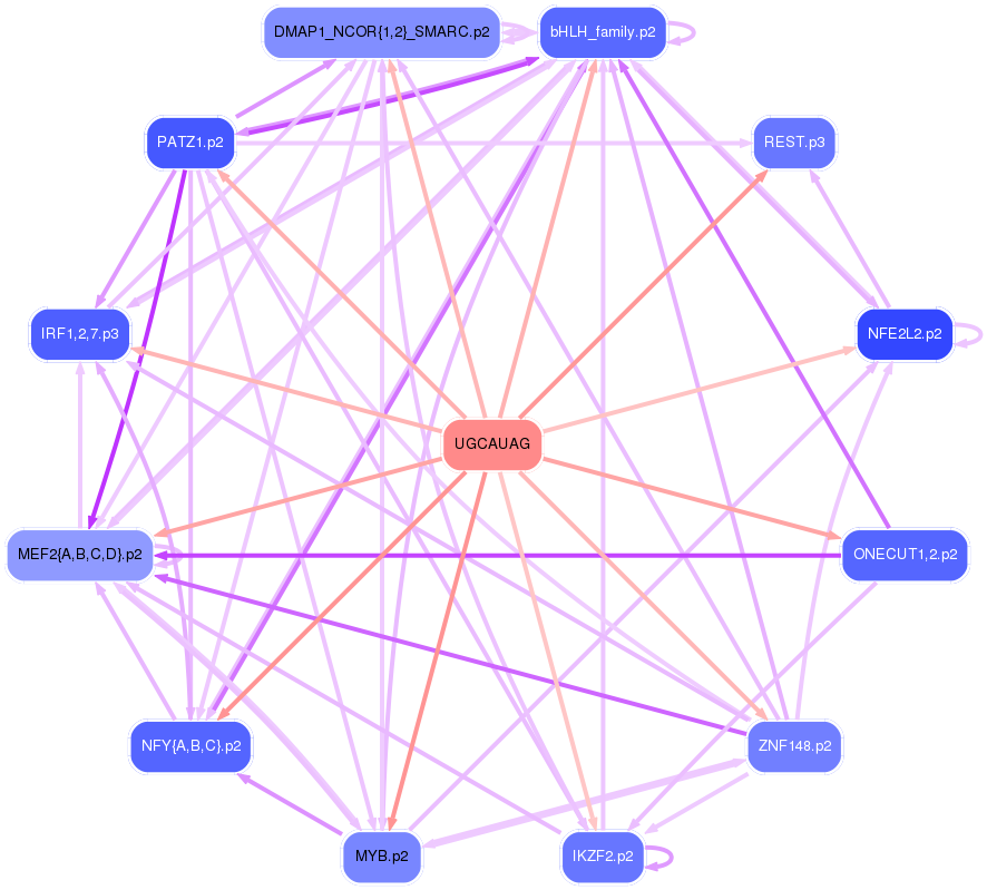 PNG image of the network