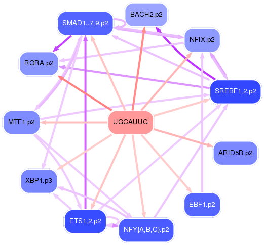 PNG image of the network