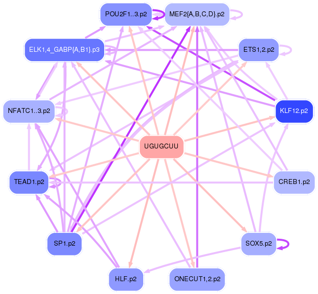 PNG image of the network