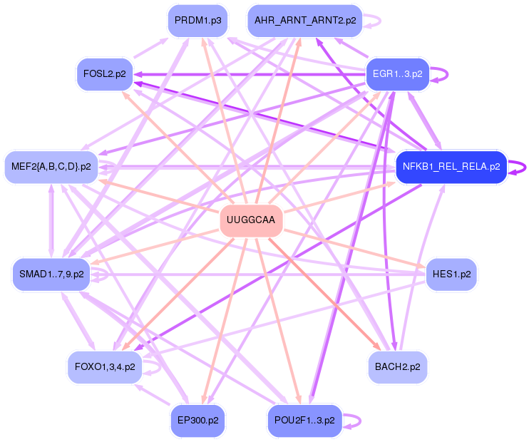 PNG image of the network