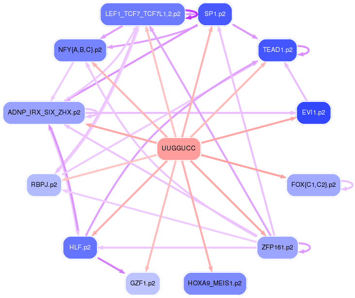 PNG image of the network