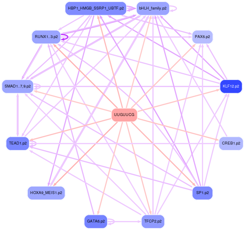 PNG image of the network