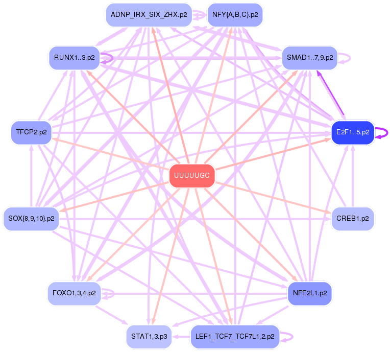 PNG image of the network