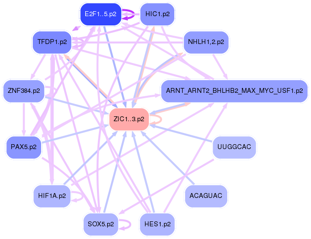 PNG image of the network