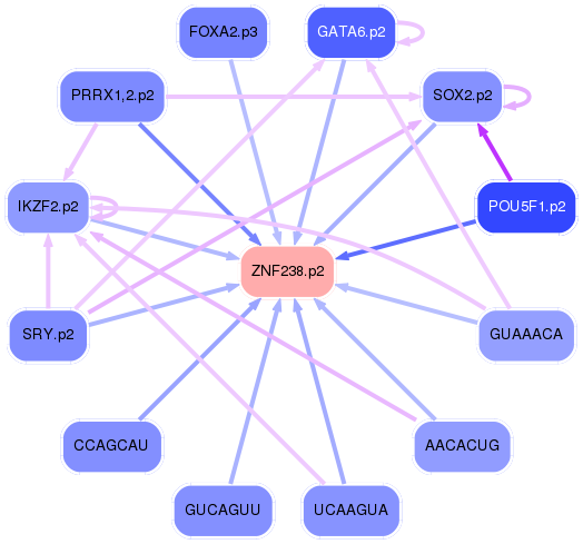 PNG image of the network