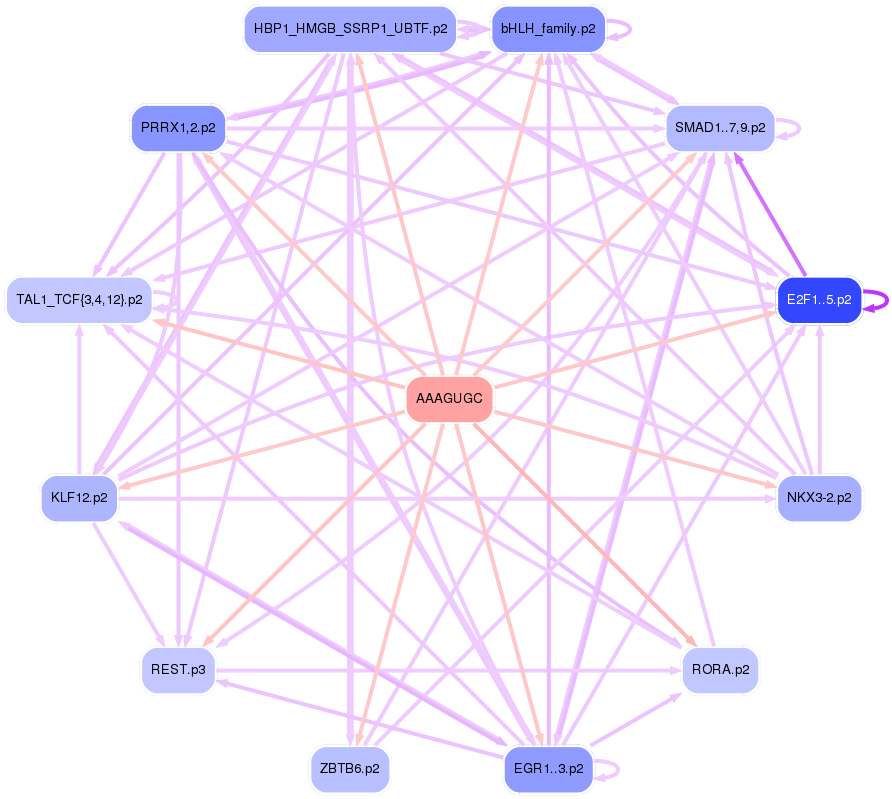 PNG image of the network