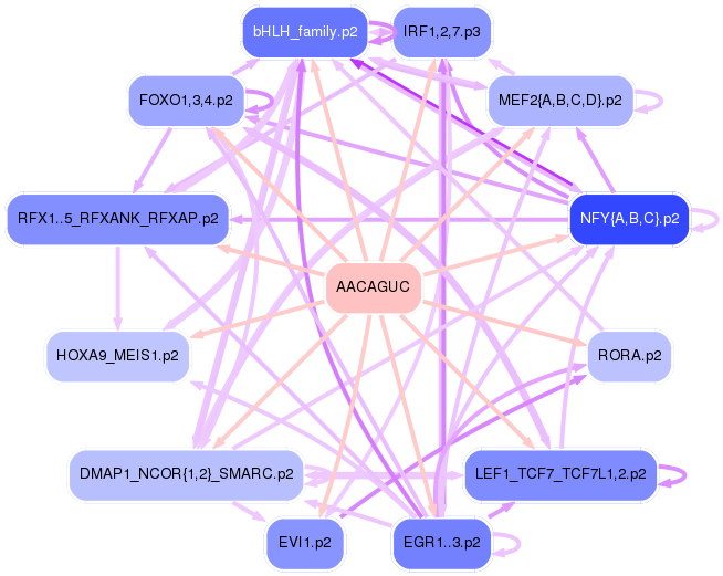 PNG image of the network