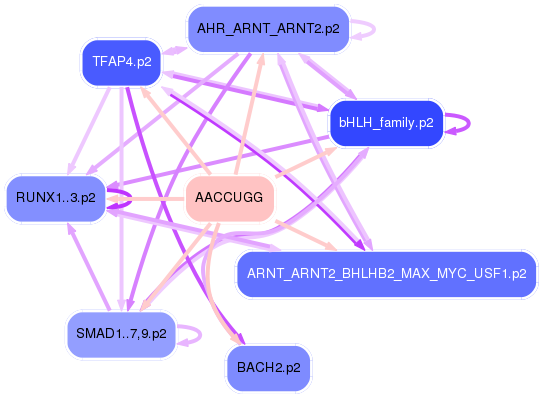 PNG image of the network