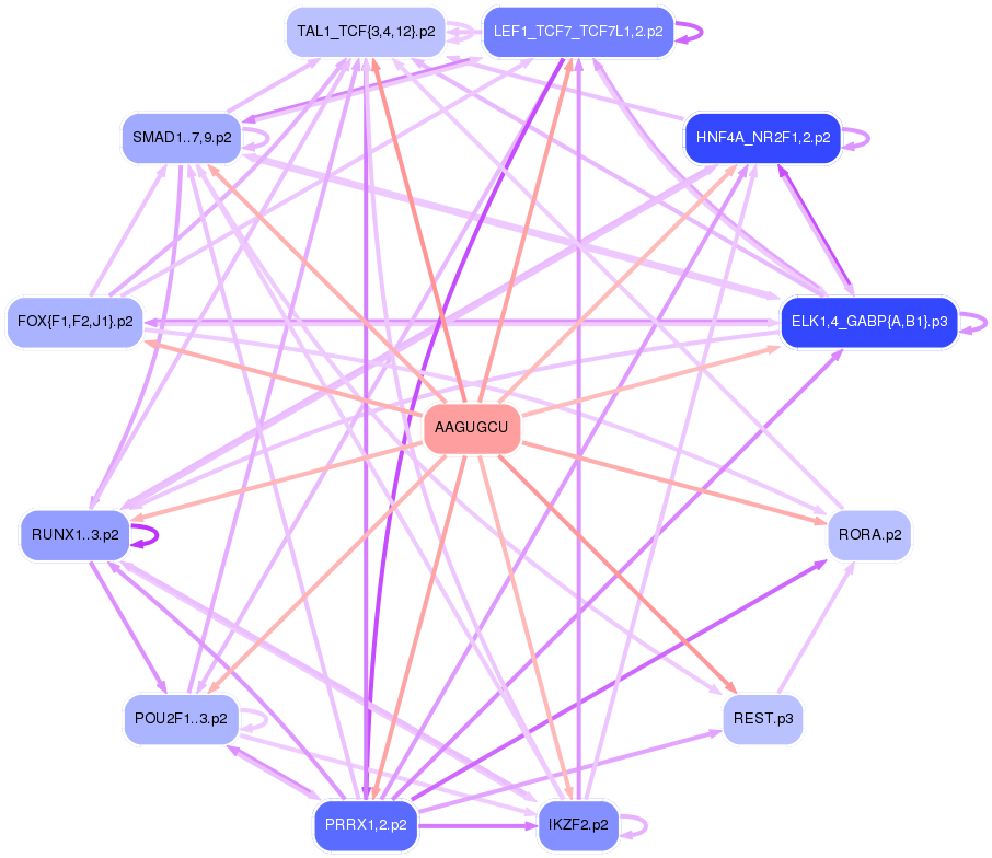 PNG image of the network