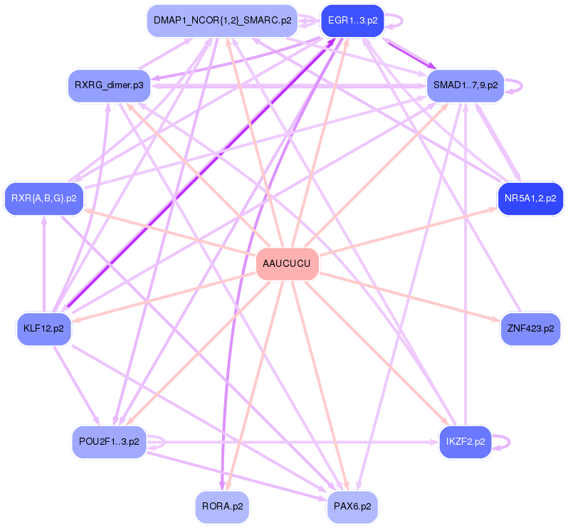 PNG image of the network