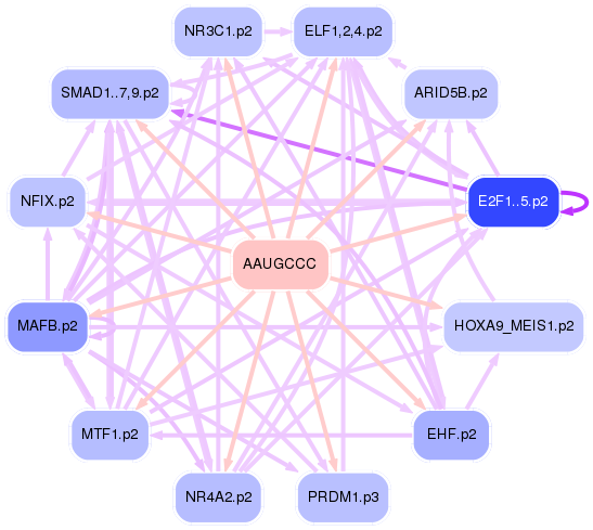 PNG image of the network