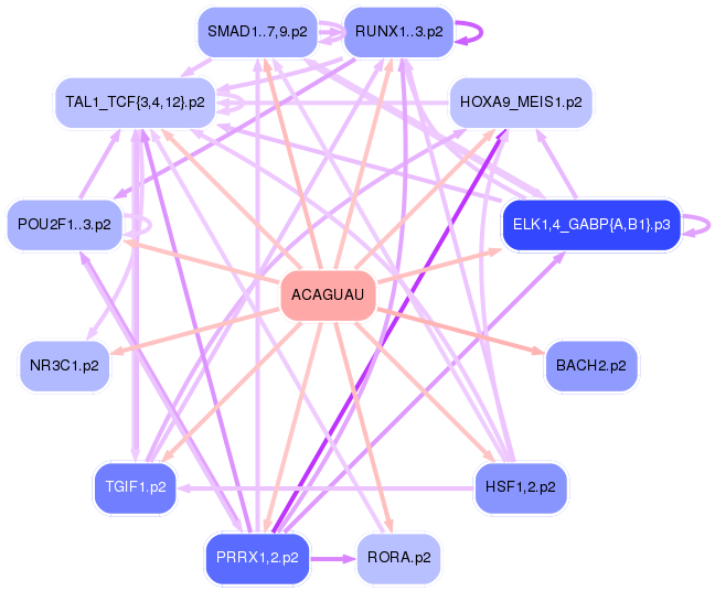 PNG image of the network