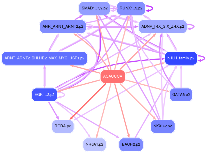 PNG image of the network