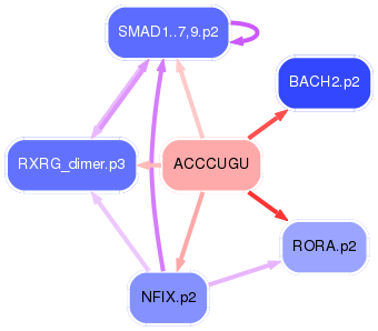 PNG image of the network